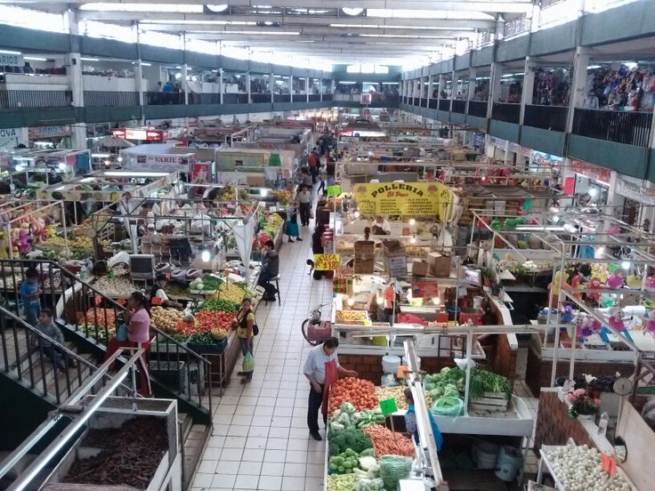 689ff3024483795e06721f07544c7175--indoor-vacations