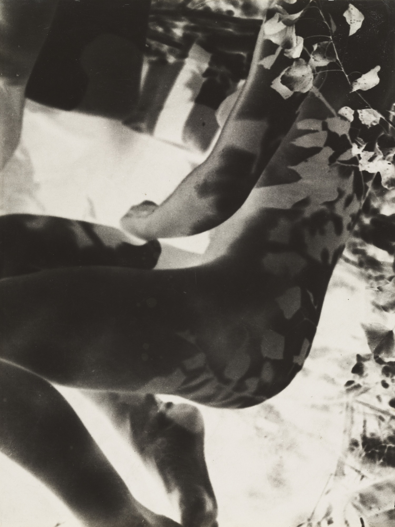 W1siZiIsIjI1NjA0MiJdLFsicCIsImNvbnZlcnQiLCItcmVzaXplIDIwMDB4MjAwMFx1MDAzZSJdXQ