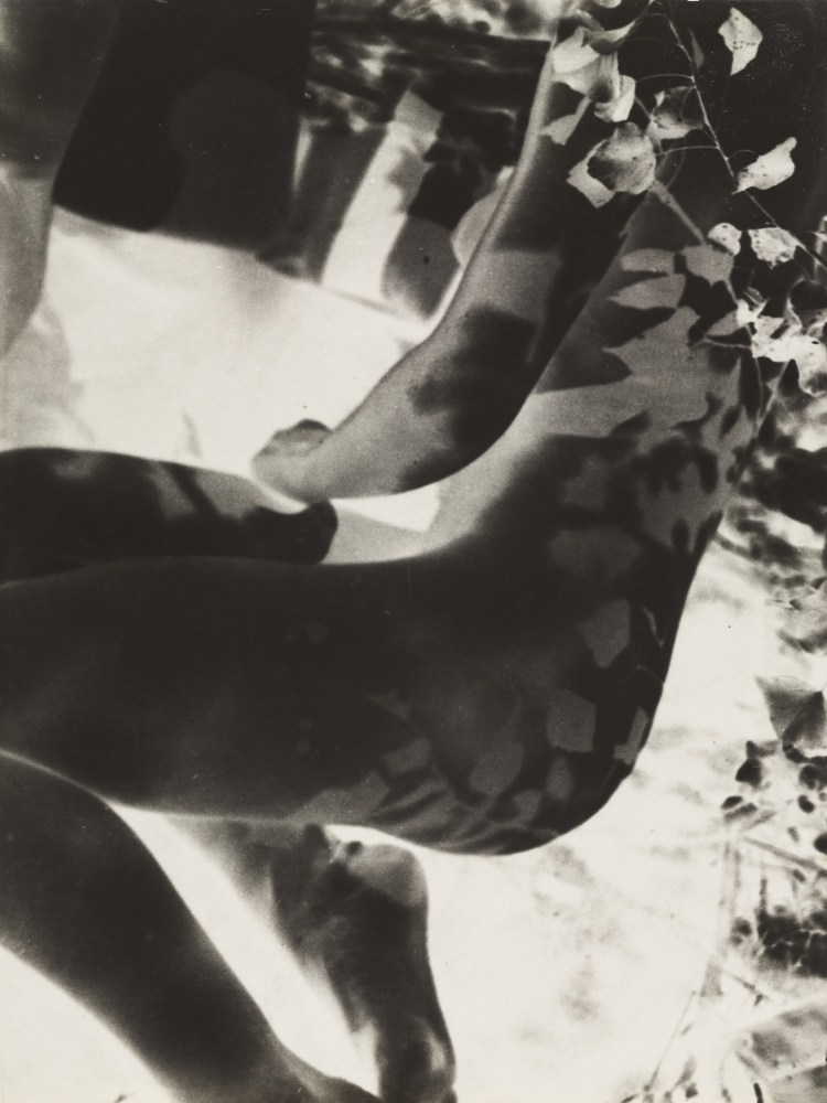 W1siZiIsIjI1NjA0MiJdLFsicCIsImNvbnZlcnQiLCItcmVzaXplIDIwMDB4MjAwMFx1MDAzZSJdXQ